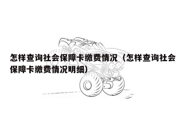 怎样查询社会保障卡缴费情况（怎样查询社会保障卡缴费情况明细）