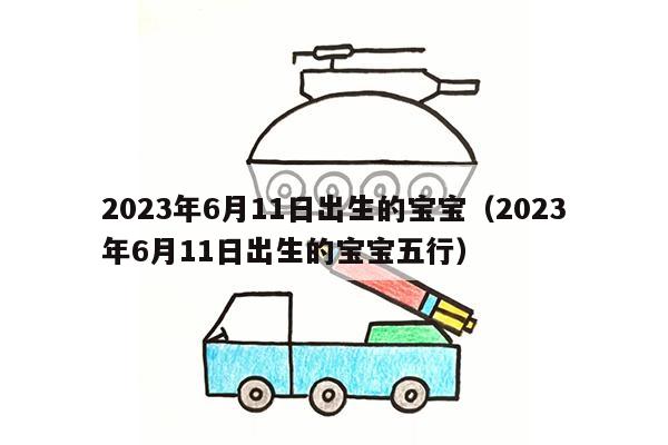 2023年6月11日出生的宝宝（2023年6月11日出生的宝宝五行）