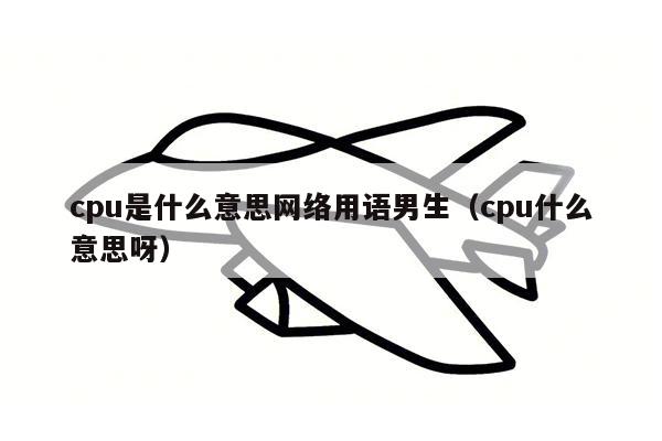 cpu是什么意思网络用语男生（cpu什么意思呀）