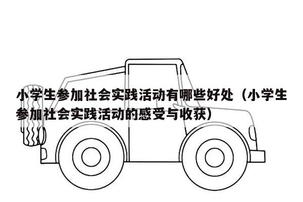 小学生参加社会实践活动有哪些好处（小学生参加社会实践活动的感受与收获）