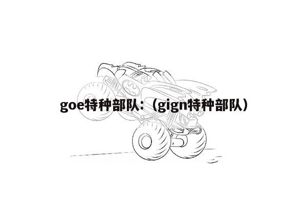 goe特种部队:（gign特种部队）