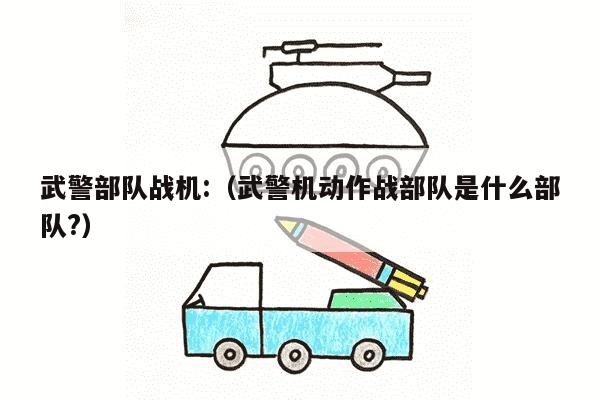 武警部队战机:（武警机动作战部队是什么部队?）