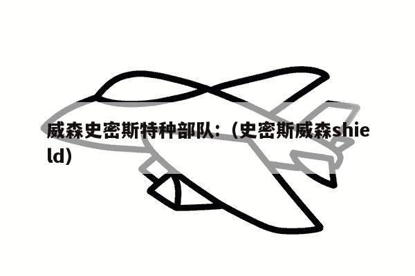 威森史密斯特种部队:（史密斯威森shield）