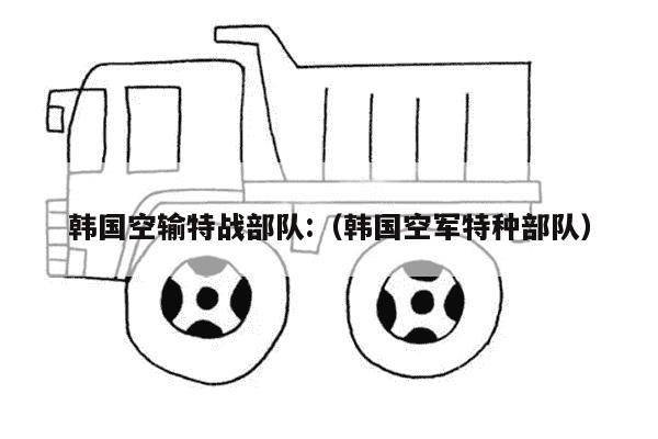 韩国空输特战部队:（韩国空军特种部队）