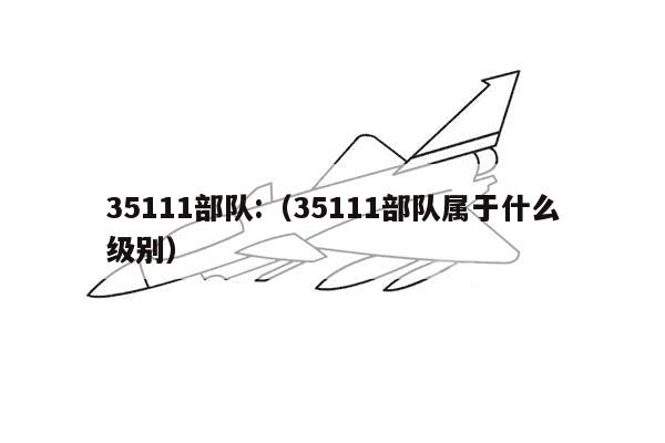 35111部队:（35111部队属于什么级别）