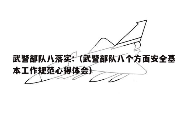 武警部队八落实:（武警部队八个方面安全基本工作规范心得体会）