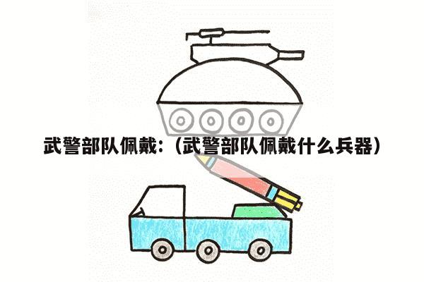 武警部队佩戴:（武警部队佩戴什么兵器）