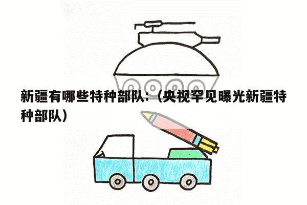 新疆有哪些特种部队:（央视罕见曝光新疆特种部队）