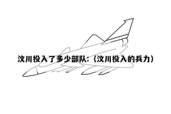 汶川投入了多少部队:（汶川投入的兵力）